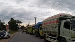 MARAK NYA PUNGLI MENJADI RESAH PARA SOPIR ANGKUTAN DAN MENGGANGGU PENGGUNA JALAN NASIONAL.